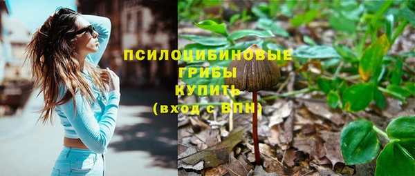 мескалин Алексин