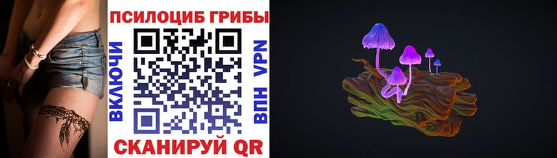 Псилоцибиновые грибы мицелий  Оленегорск 